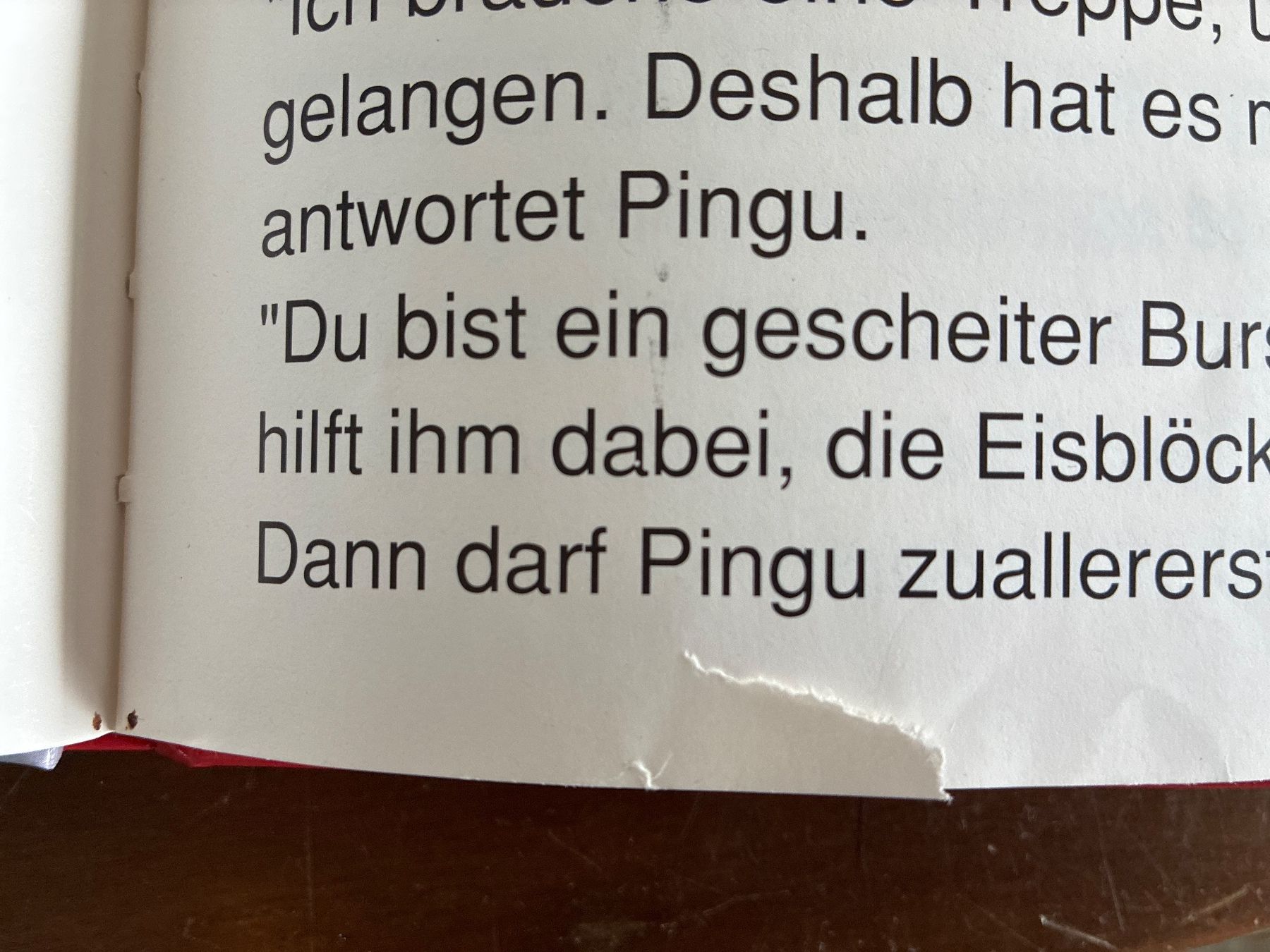 Libri: Pingu der Lausbub -Silva Verlag 1991 – Usato da Wald ZH venduto da gabriela1 3