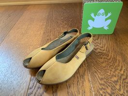 El Naturalista Stella sun Gr.37