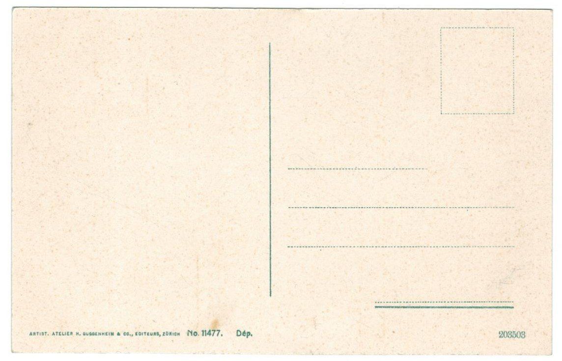 Cartoline postali: AK Buchs SG – Usato da Zürich venduto da Tolima194 1