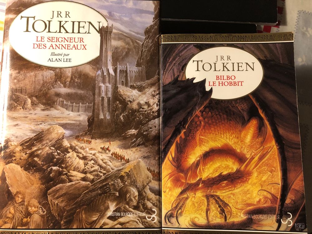 J R R Tolkien Le seigneur des Anneaux illustré par Alan Lee Kaufen auf Ricardo