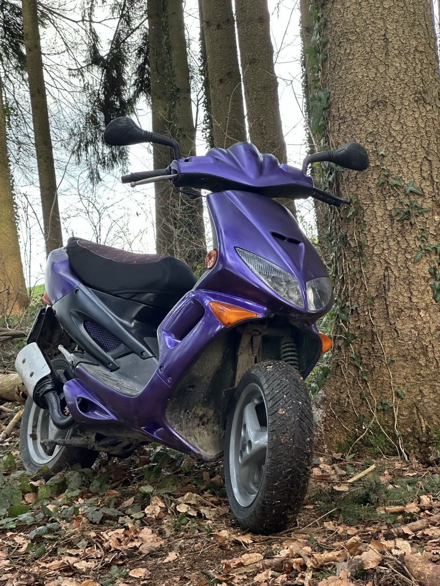 Peugeot Scooter: Peugeot Speedfight 2 – Usato da Waldkirch venduto da jan_jr2x 1