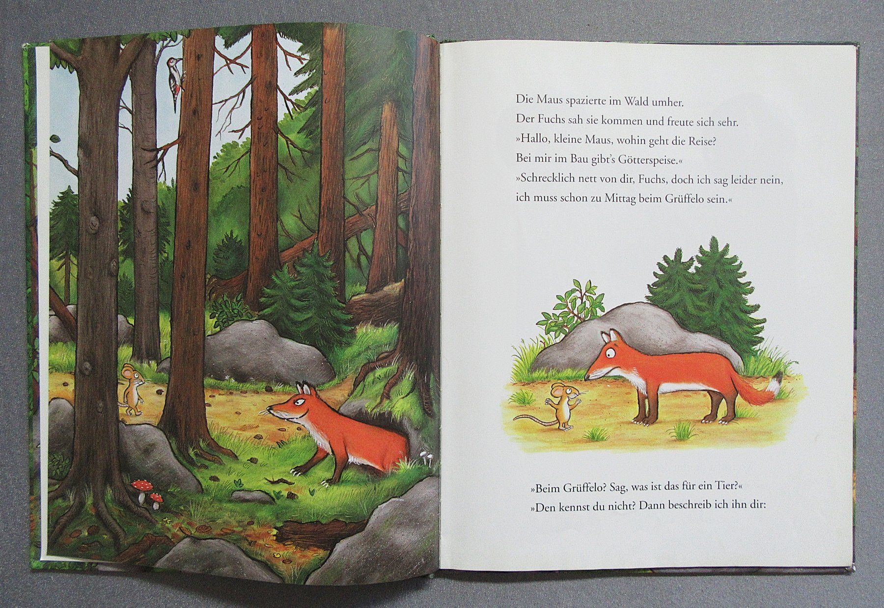 Libri: Der Grüffelo - Bilderbuch mit Bildern von Axel Scheffler – Usato da Auenstein venduto da Padabimbim 2