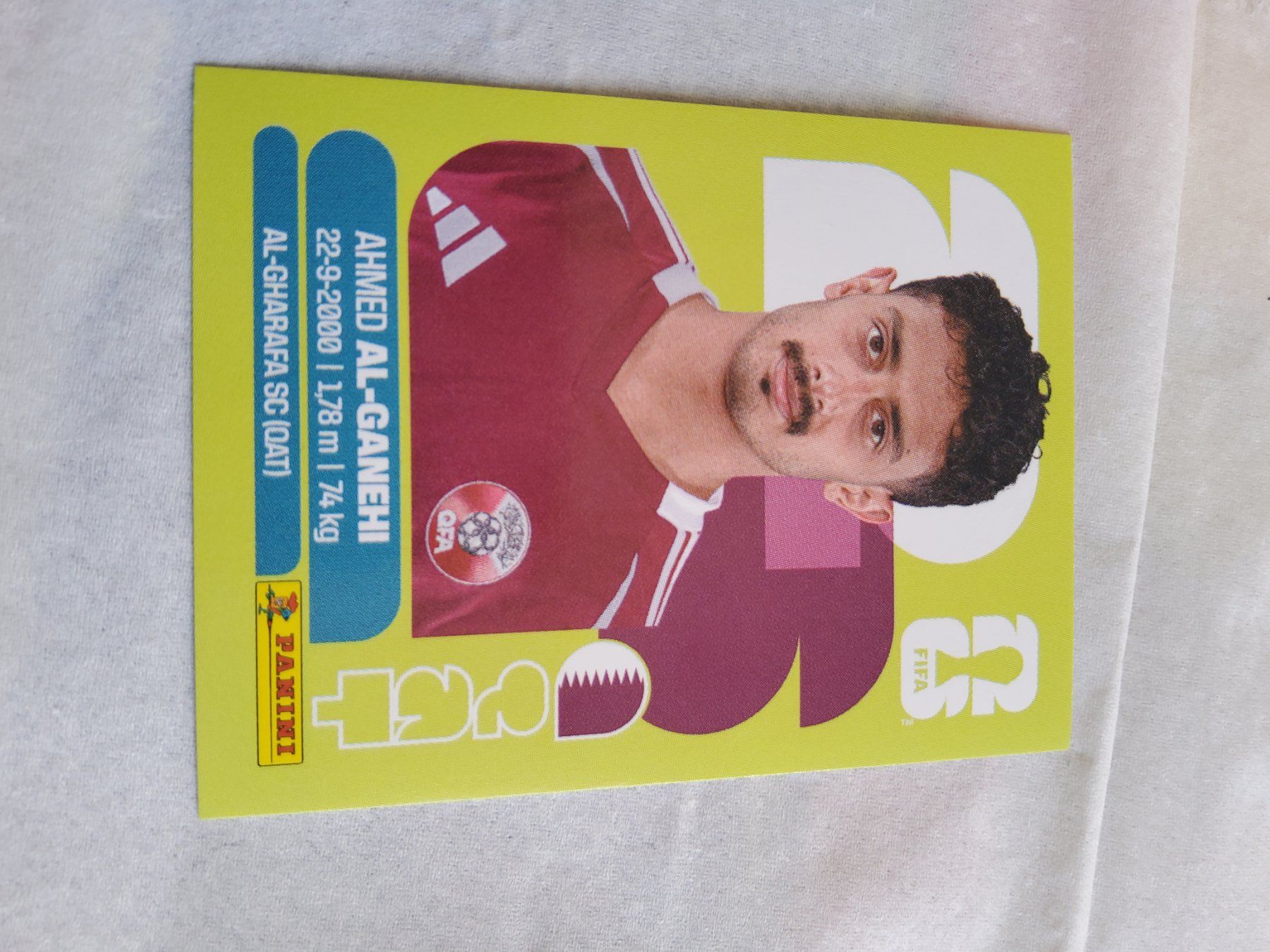 Panini Sammelbilder & Trading cards: Panini Fussball QAT 19 – Neu (gemäss Beschreibung) aus Zürich von Dalicelik