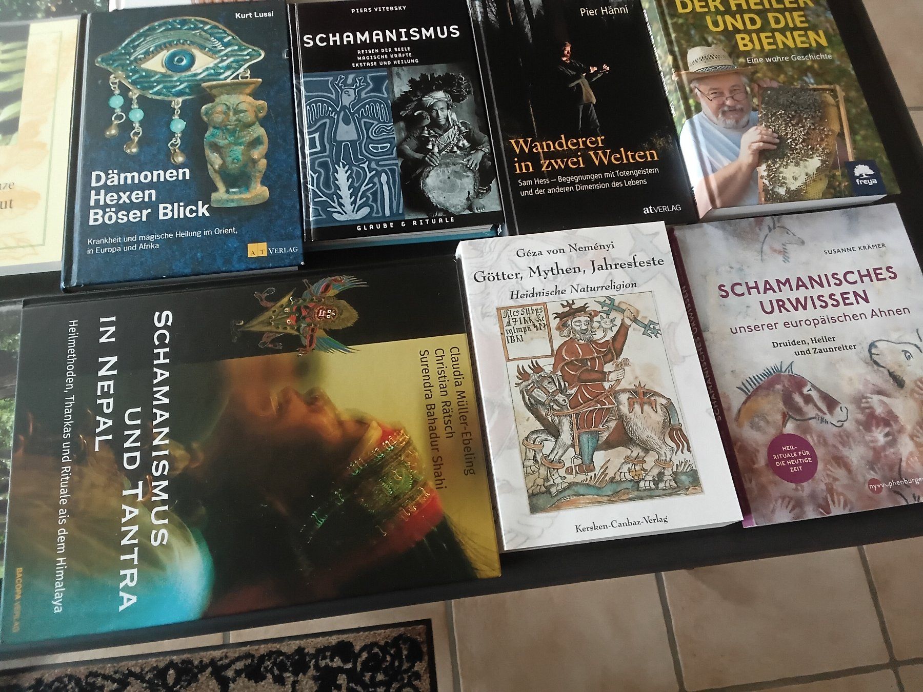 Bücher: 22 Schamanen Heiler Bücher – Gebraucht aus Riniken von Kandergrund86 5