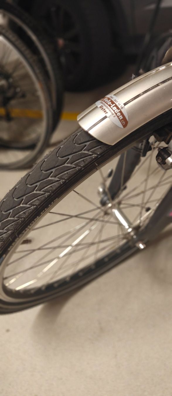 Flyer Biciclette: Wenig KM Flyer eBike – Usato da stallikon venduto da Dalacoke 7