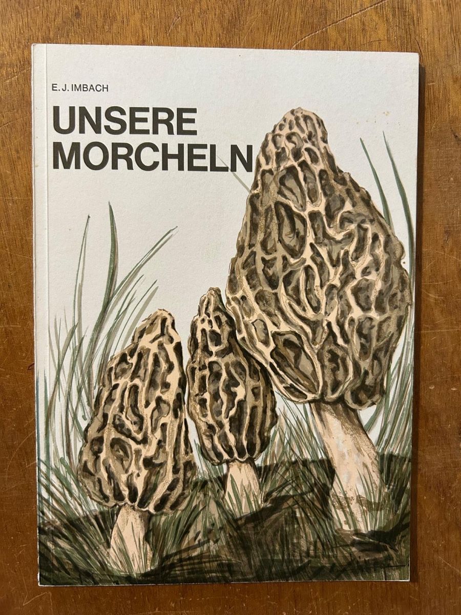 Libri: E. J. Imbach. Unsere Morcheln – Usato da Zürich venduto da WWehrle