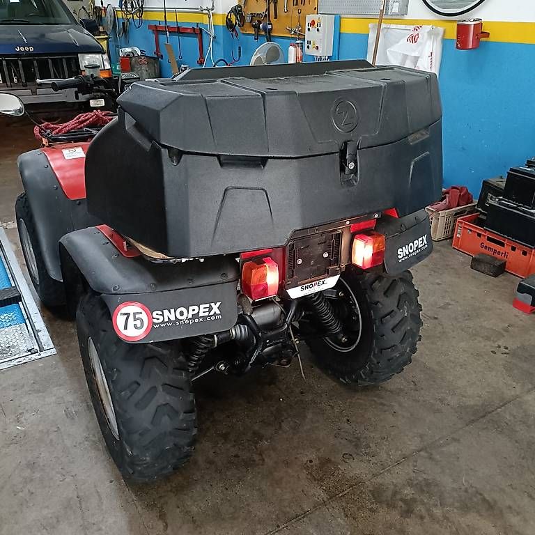 ATV / Quad: Arctic Cat 300 4x4 collaudato/MFK – Usato da Bironico venduto da aut_v8ks 1