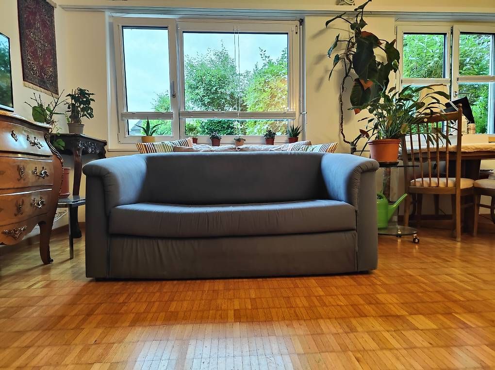 Divani: IKEA ASKEBY Schlafsofa 2 Sitzer Blau – Usato da Adligenswil venduto da cri_7fnc 4