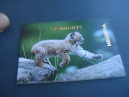 Markenbüchlein Tierbabys, 2017, ET-o