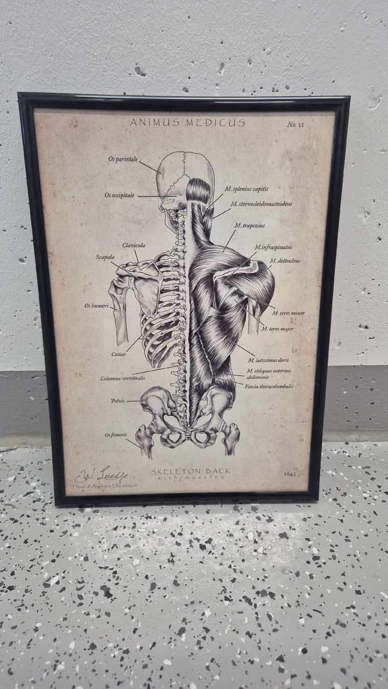 Foto & Immagini: Animus Medicus 3 Bilder + Rahmen – Usato da Walenstadt venduto da jan_dcn2 2