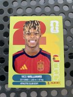 Panini Sammelbild ESP 17