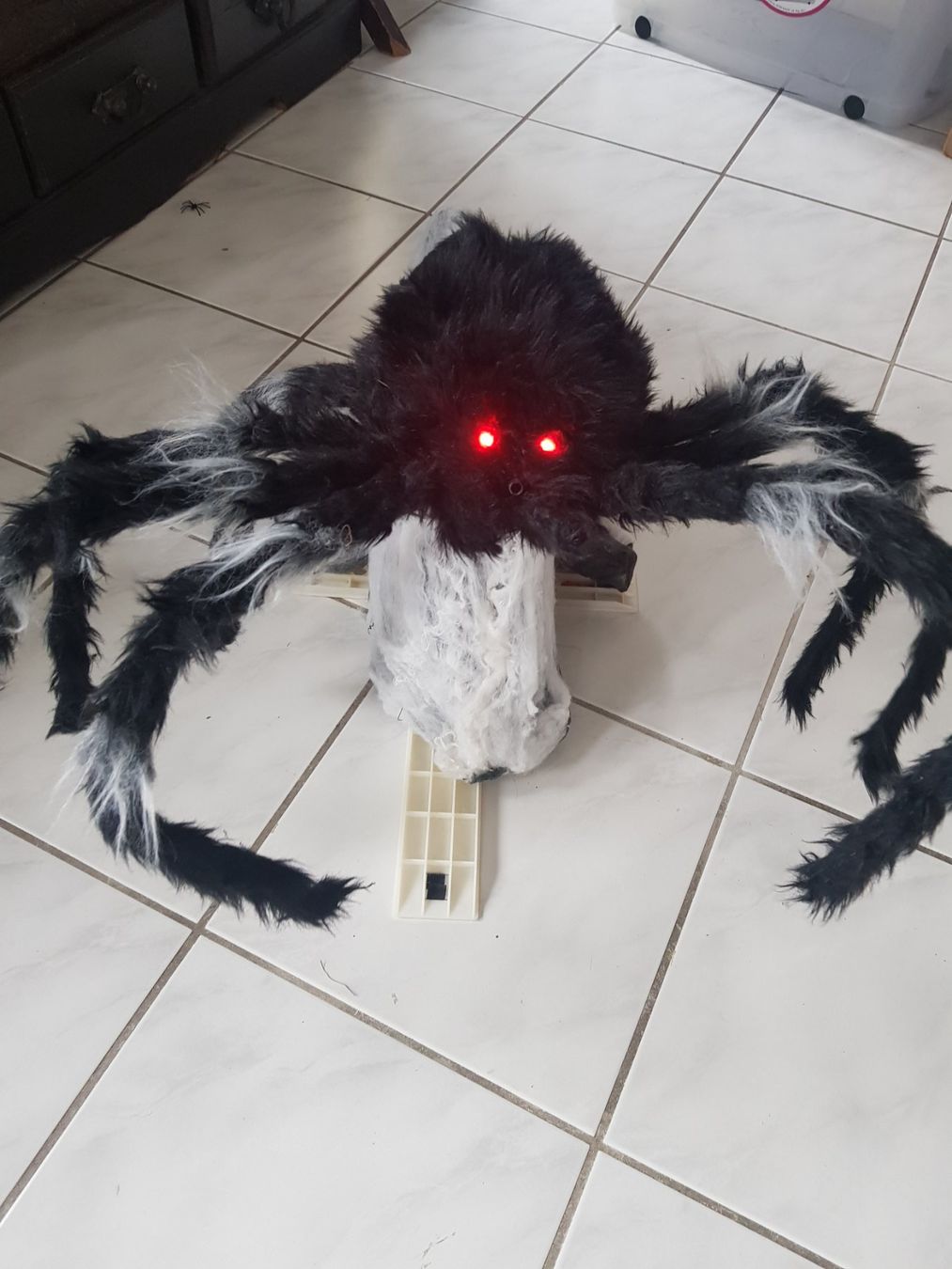 Tutte le decorazioni: HORROR/ HALLOWEEN GROSSE SPRINGSPINNE – Usato da Root venduto da LifestyleAccessoires 4