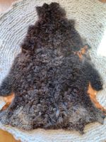 Echtes Schaffell Vom Gotland Schaf aus Bio-Tierhaltung