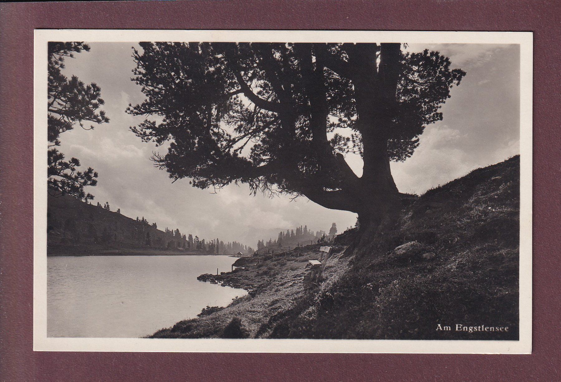 Ansichtskarten: Am ENGSTLENSEE – Gebraucht aus Pully von nicecards