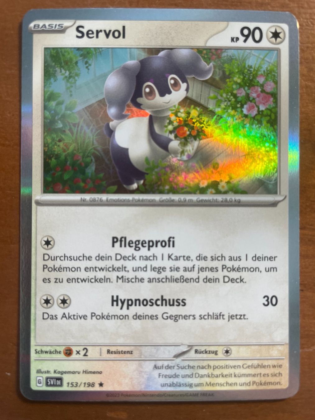 Pokémon Carte collezionabili: Pokemon Servol Holo (Versand gratis) – Nuovo (secondo la descrizione) da Chur venduto da Angerson