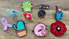 Restposten Pins 10 Stück NEU