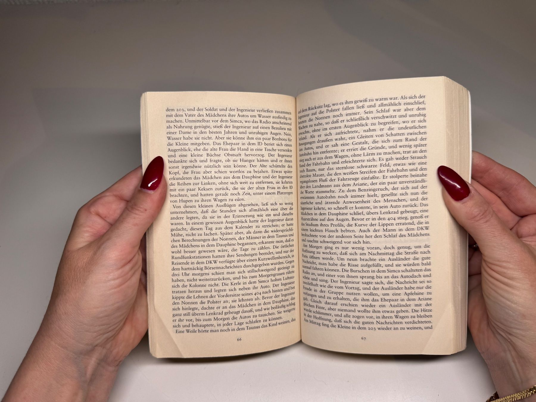 Libri: BUCH: Phantastische Aussichten – Usato da Grosswangen venduto da Kleine.Knoepfe 5