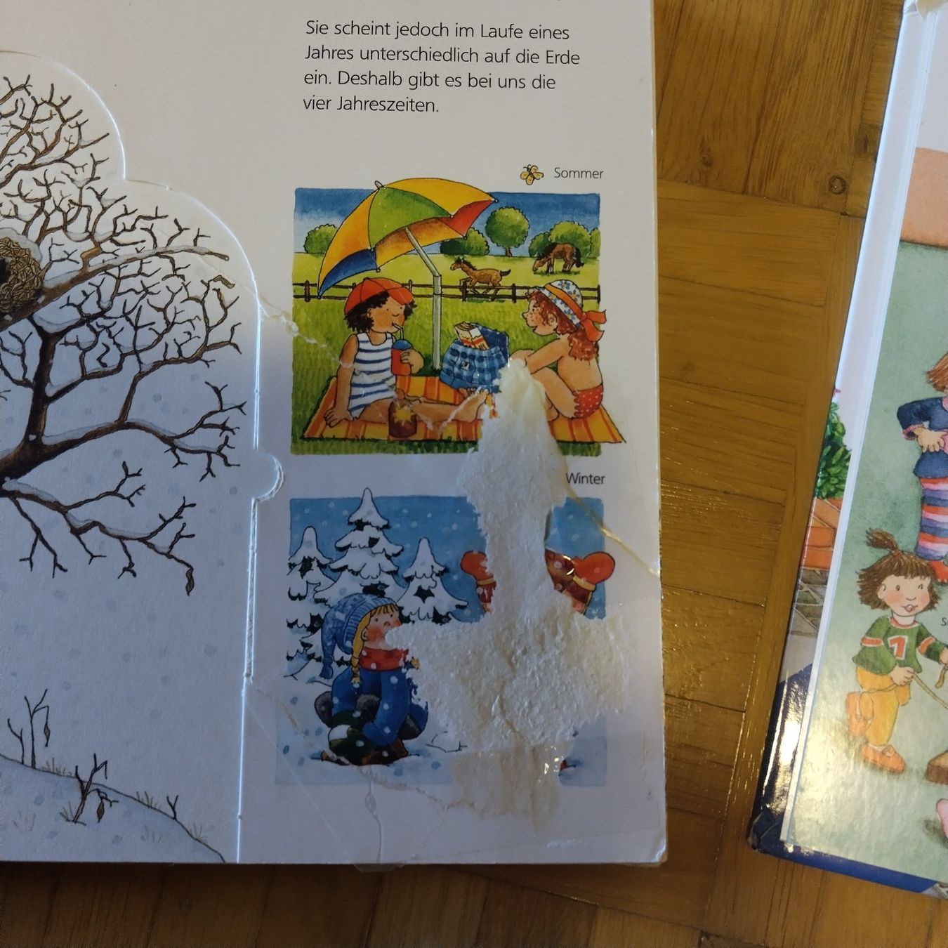 Bücher: Wieso Weshalb Warum Junior Bucher Set – Gebraucht aus Oberdorf NW von niederj 5