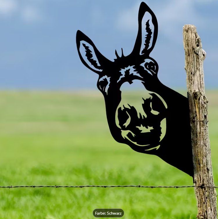 Ecriteaux: Blechschild Esel – D'occasion à Gerlafingen par Tsuru