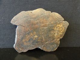 Meteorit Chondrit Stein-Meteorit NWA NORD WEST AFRIKA SAHARA