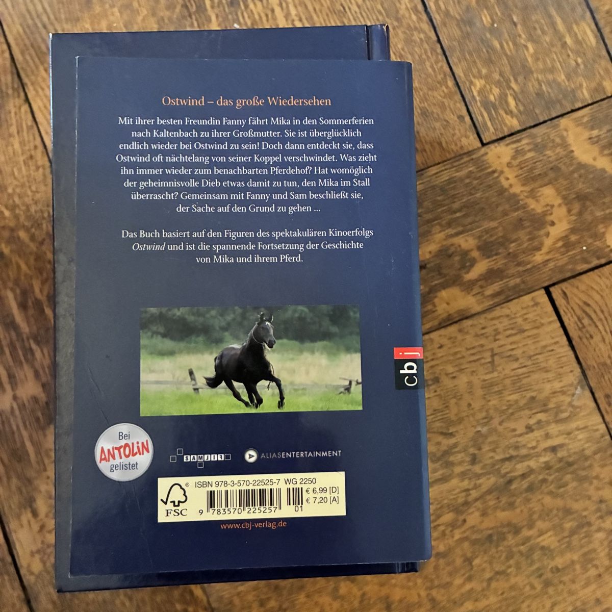 Libri: Ostwind 6 Bände – Usato da Winterthur venduto da bunteperlen 6