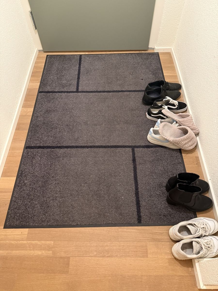 Tappeti: Stylish Grey Winter Entryway Mat – Usato da Zürich venduto da deb_9st5