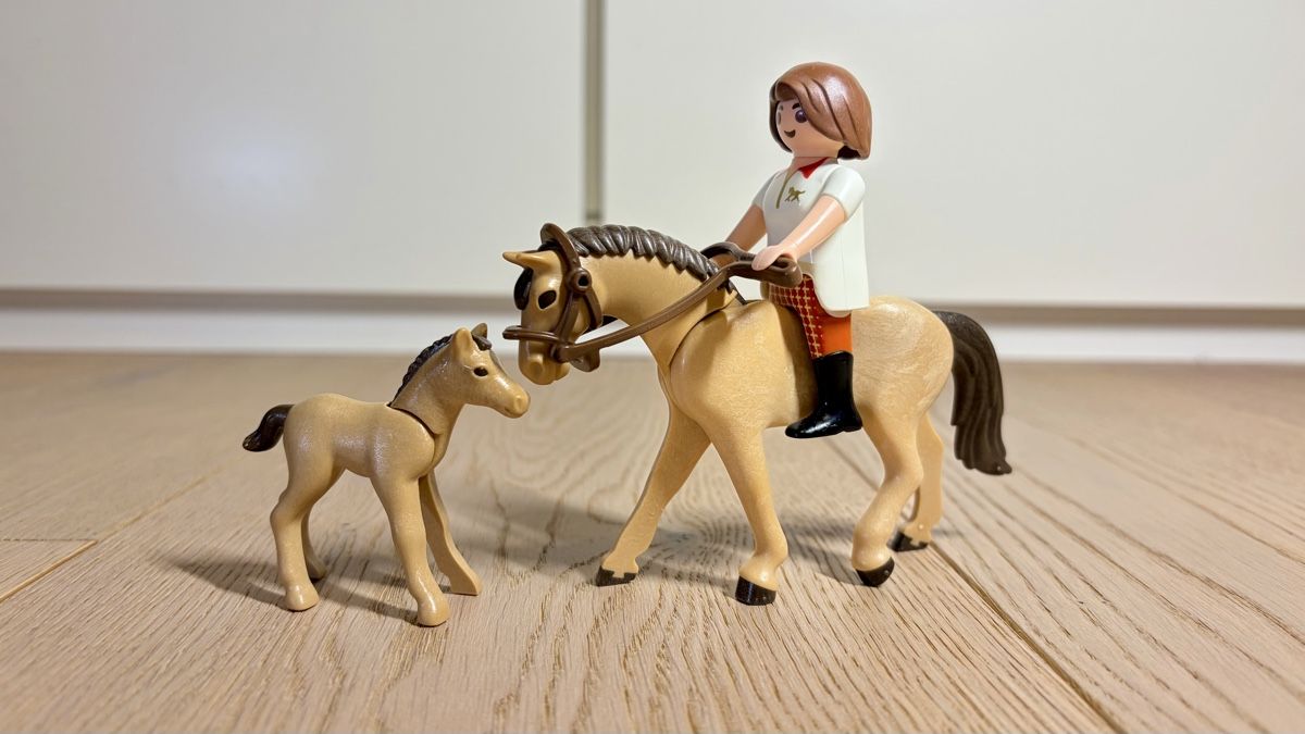 Playmobil Giocattoli: Playmobil - Pferdeset mit Kutschen – Usato da Untereggen venduto da dan_whq6 5