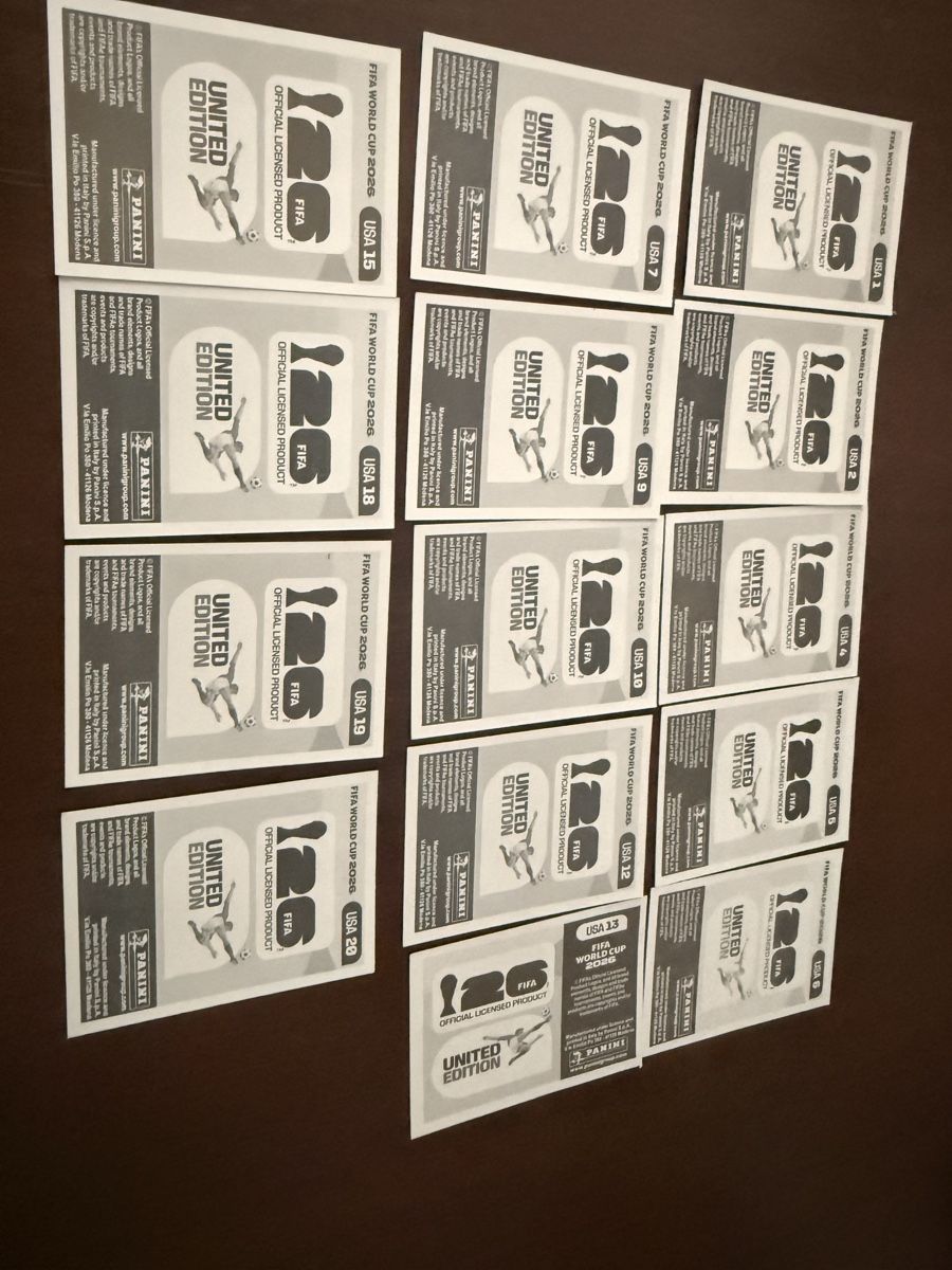 Panini Carte collezionabili: Panini WM 2026 – Nuovo (secondo la descrizione) da Obernau venduto da lau_q9xp 1