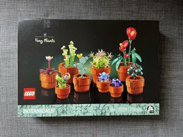 Lego Botanicals Tiny Plants - Mini Pflanzen - 10329