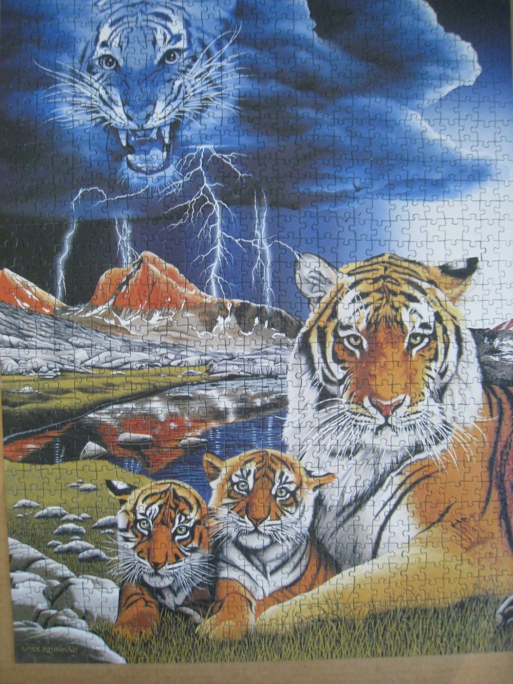 Ravensburger Puzzle: 4 Puzzle à 1000 Teile – Usato da Sutz venduto da martinliliane 4