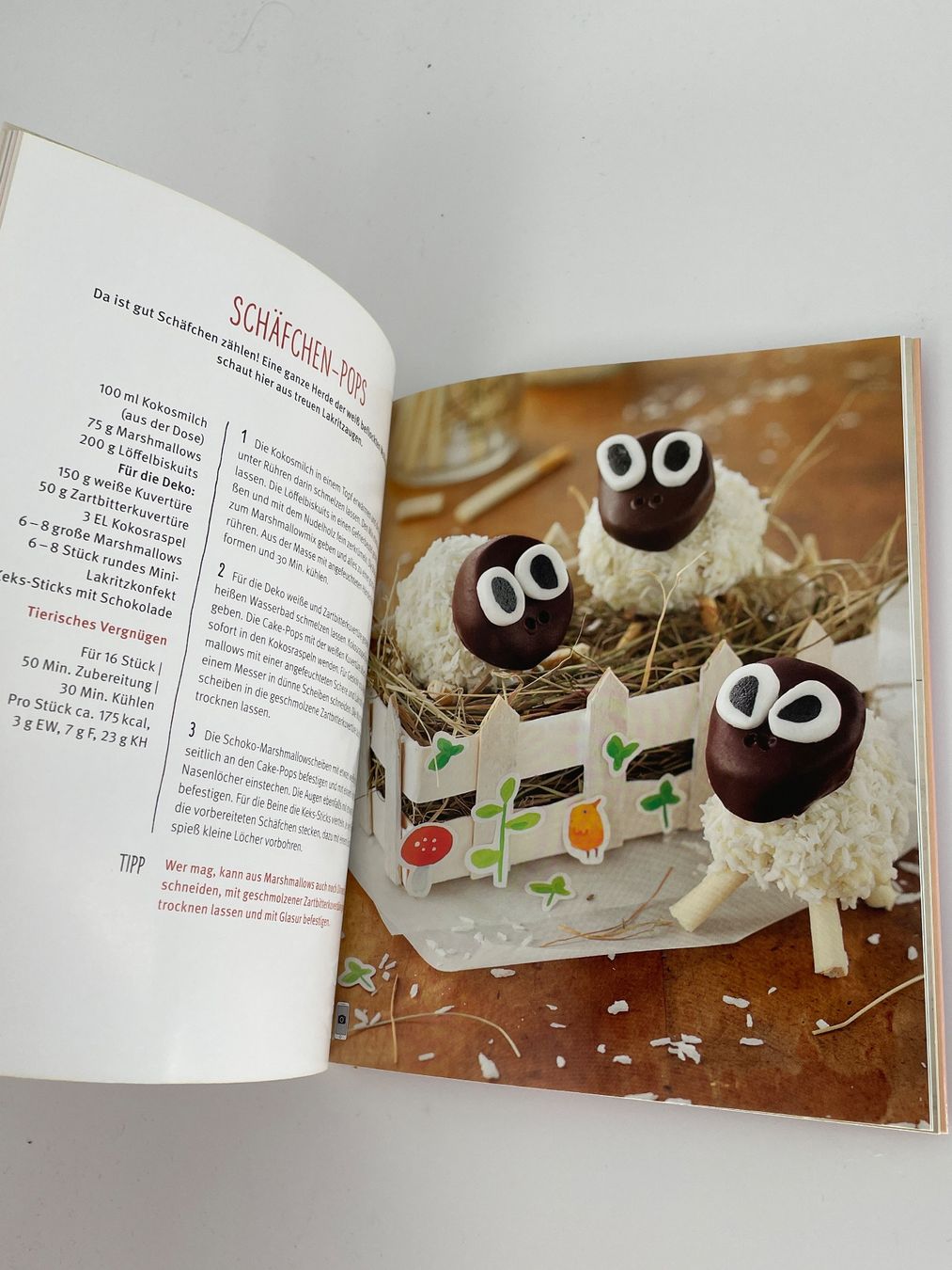 Libri: Cake-Pops Backbuch: Kuchenpralinen am Stiel GU – Usato da Auenstein venduto da moin. 3