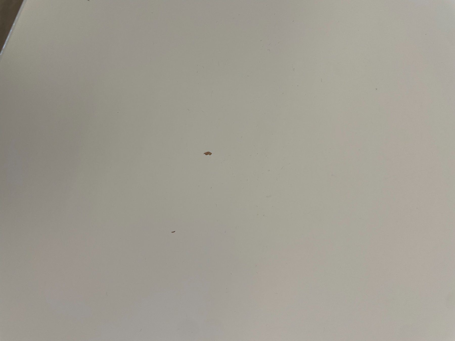 Ikea Tavoli da trucco: Schminktisch/Schreibtisch – Usato da Wädenswil venduto da lei_mh9s 5