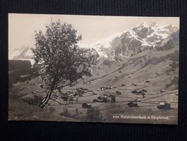 . HINTERSTEINIBACH - KARPFSTOCK 1923