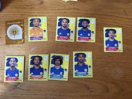 Panini 2026 11er CUW Set