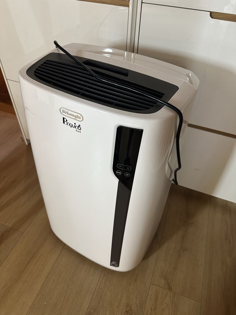 De'Longhi Condizionatori: DeLonghi Pinguino PAC AN110  4 x 4 – Usato da Cham venduto da miami012 1
