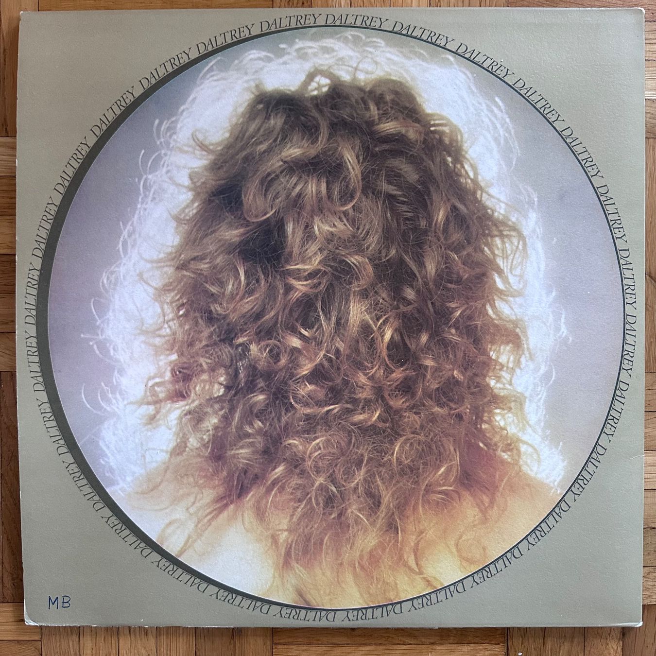 Dischi in vinile: LP - Roger Daltrey - Daltrey – Usato da Breganzona venduto da Onairda75 1