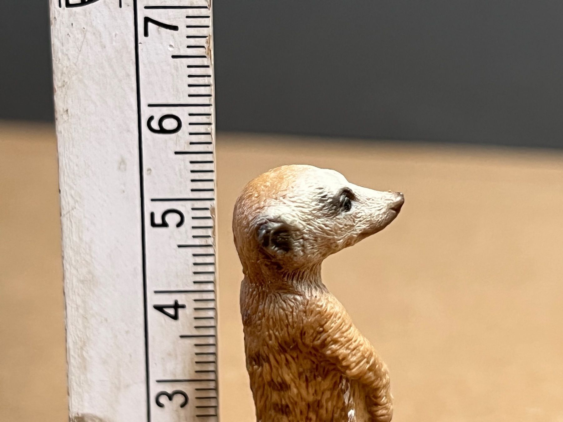 Schleich Statuette: Schleich 14368 Erdmännchen, stehend – Usato da Ennetbaden venduto da mapa05 5