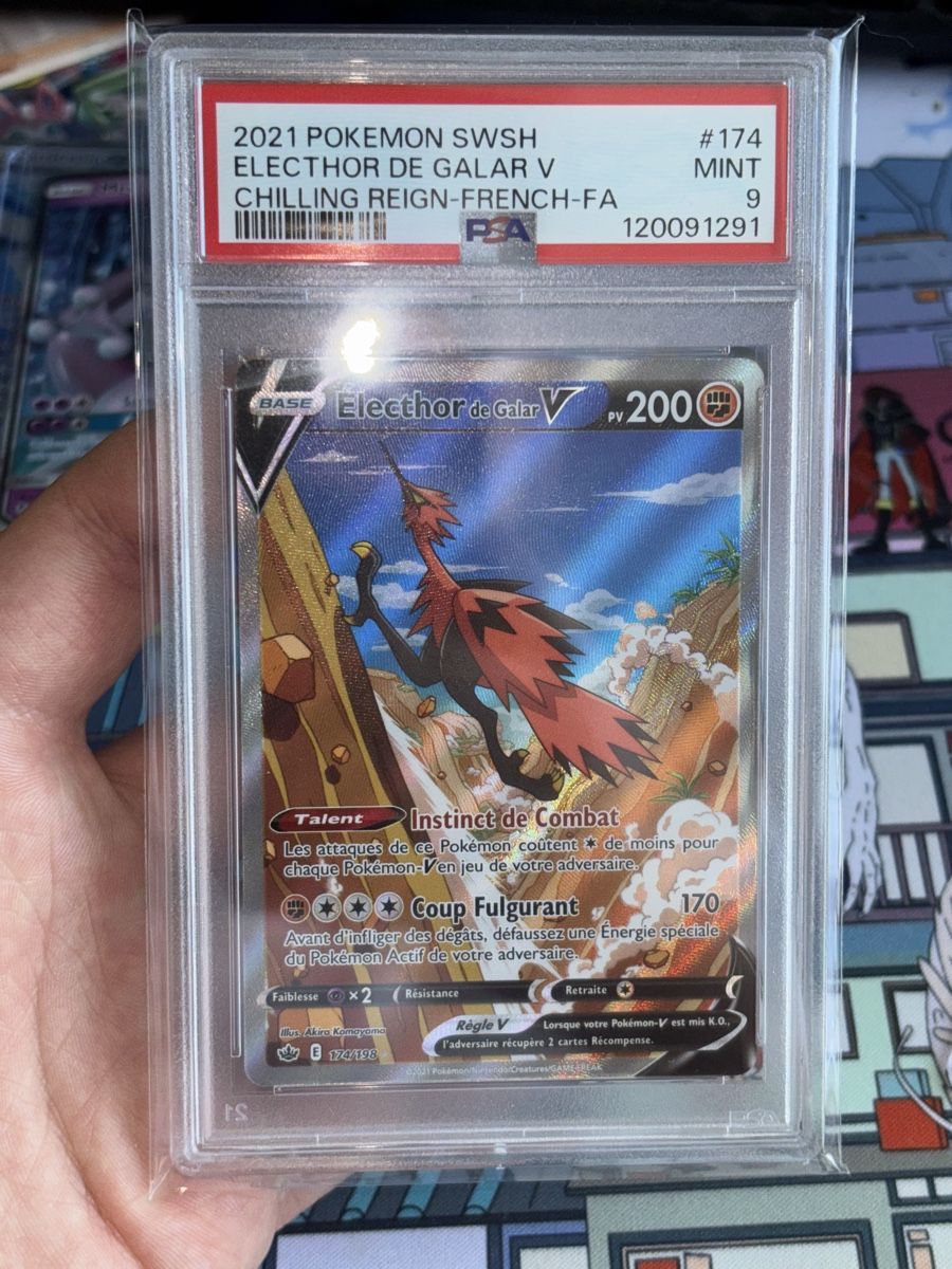 Pokémon Carte collezionabili: Electhor de Galar V FR 174/198 – Nuovo e nell'imballaggio originale da Puplinge venduto da Collection_Pokepi
