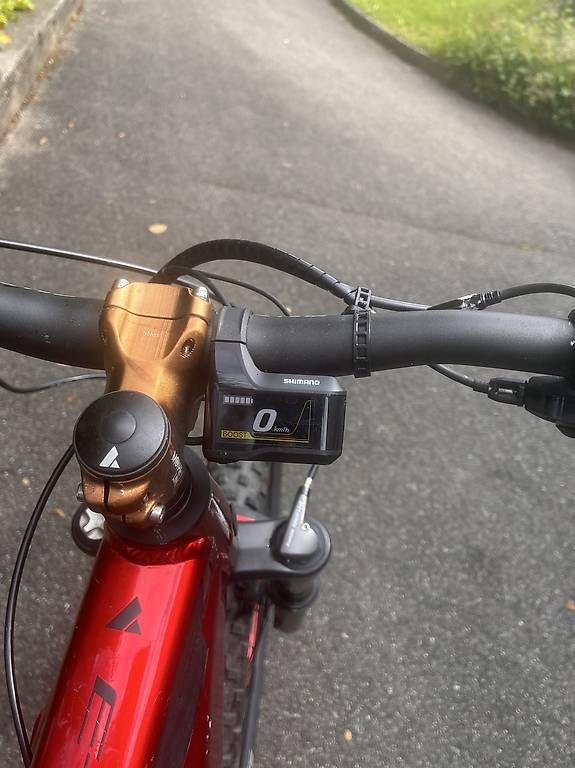 Biciclette: E-Bike Bulls Evo – Usato da Luzern venduto da curly-angi 3