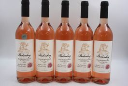 5x Bubenberg Blauburgunder 2024 - Rosé (26082261Z)