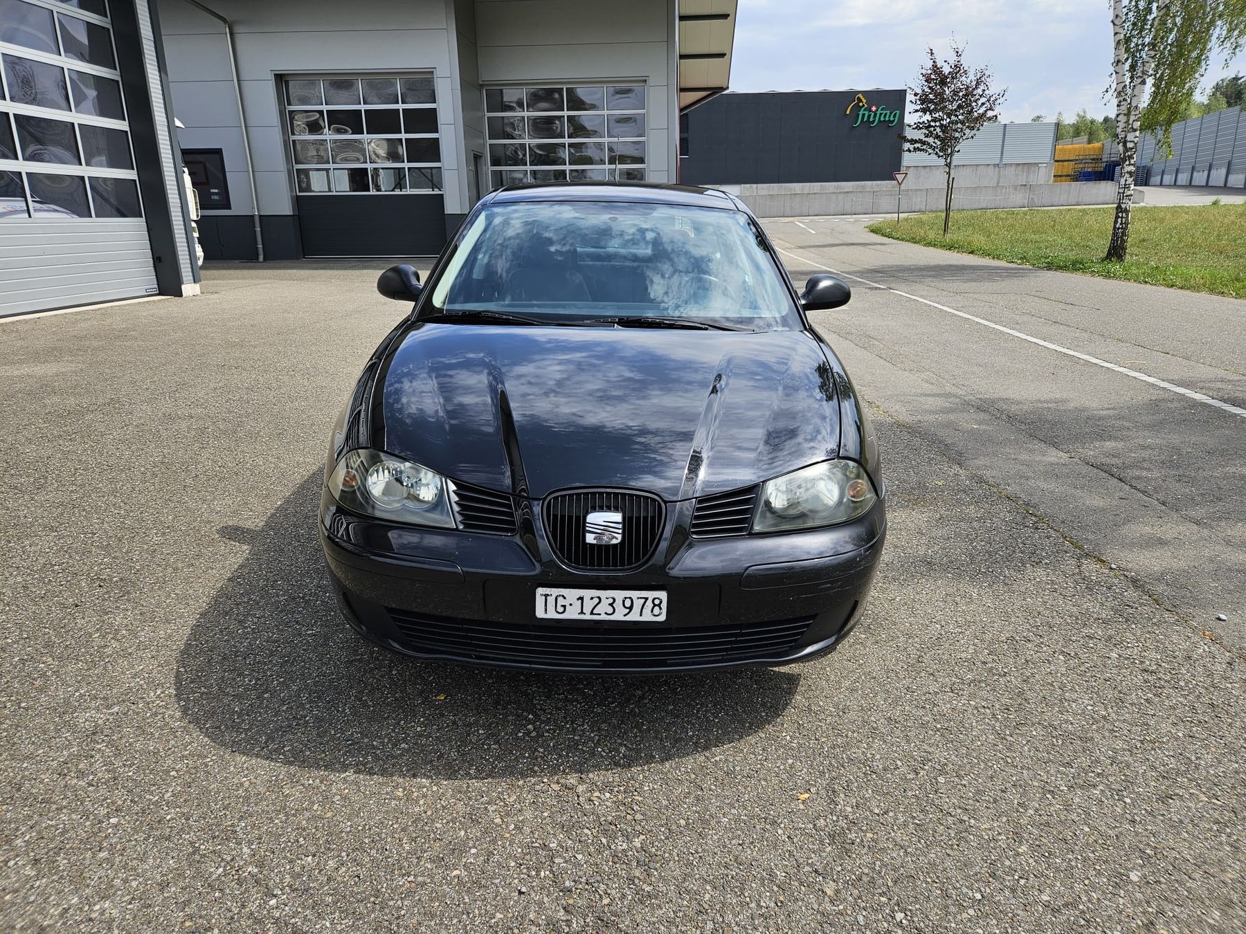 Seat Automobili: Seat Ibiza – Usato da Langrickenbach venduto da yan_9h9q