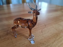 Swarovski Figur SCS Gazelle Originalverpackt