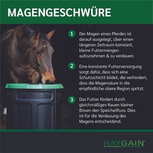 Nourriture: Haygain Forager Slowfeeder gebraucht – D'occasion à Niederhasli par Ethea 1