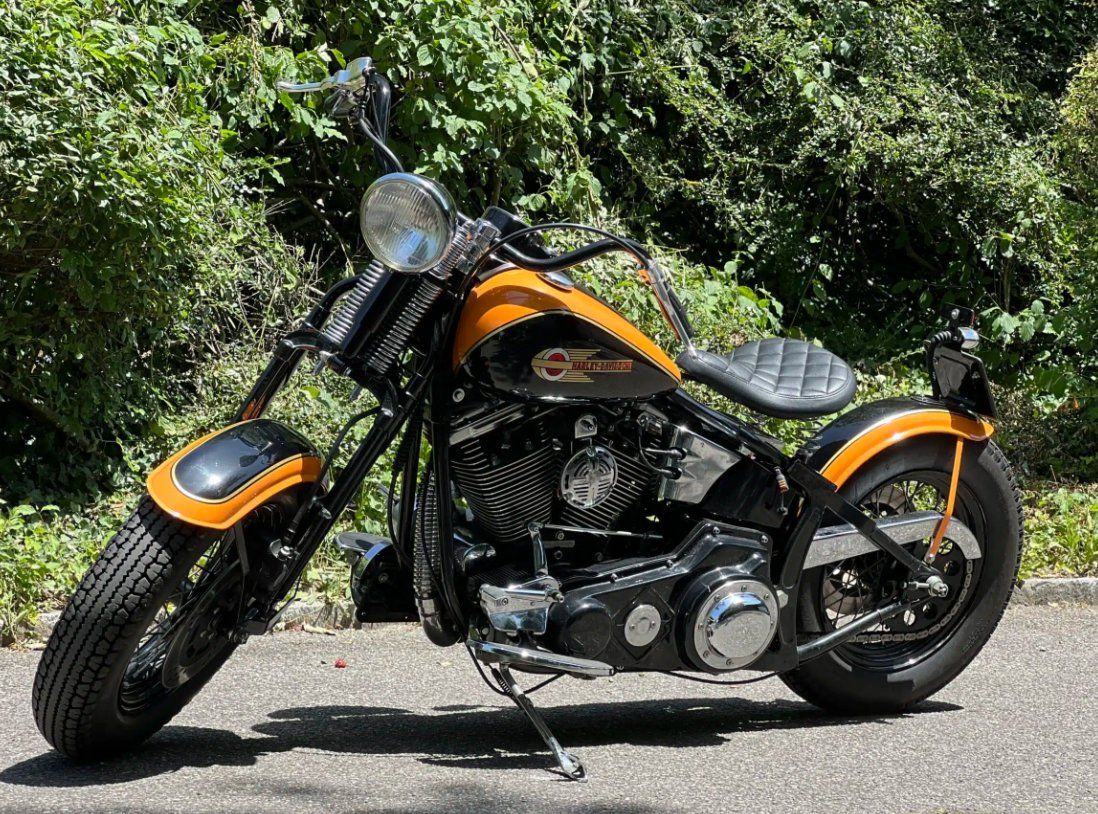 Altro: 1998 Harley-Davidson repro springer – Usato da Genolier venduto da CFD95