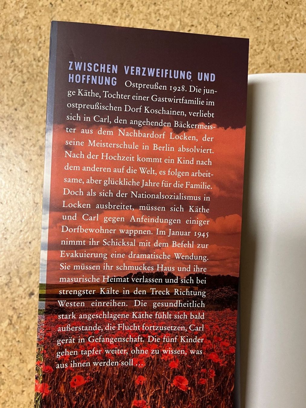 Livres: Buch "Kornblumenzeit" von Simona Wernicke – D'occasion à Grosswangen par Vita500 2