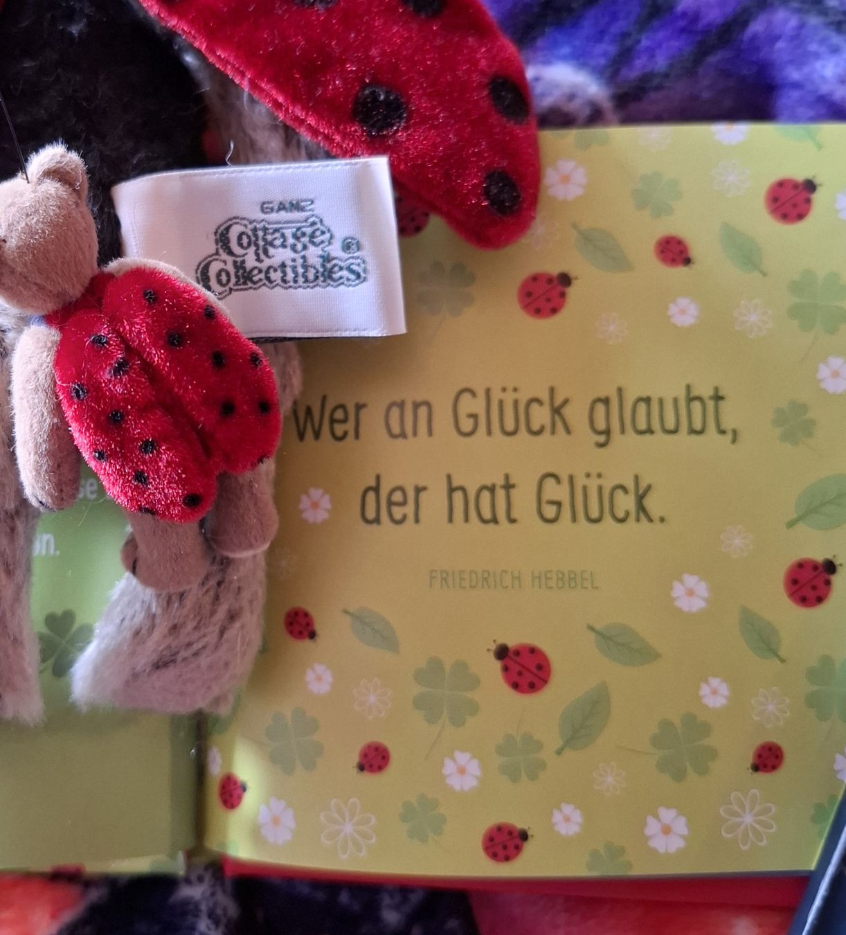 Tutte le decorazioni: 2 MARIENKÄFER TEDDY'S MIT DEKO MARIENKÄFER – Nuovo (secondo la descrizione) da Gretzenbach venduto da schibaya 9
