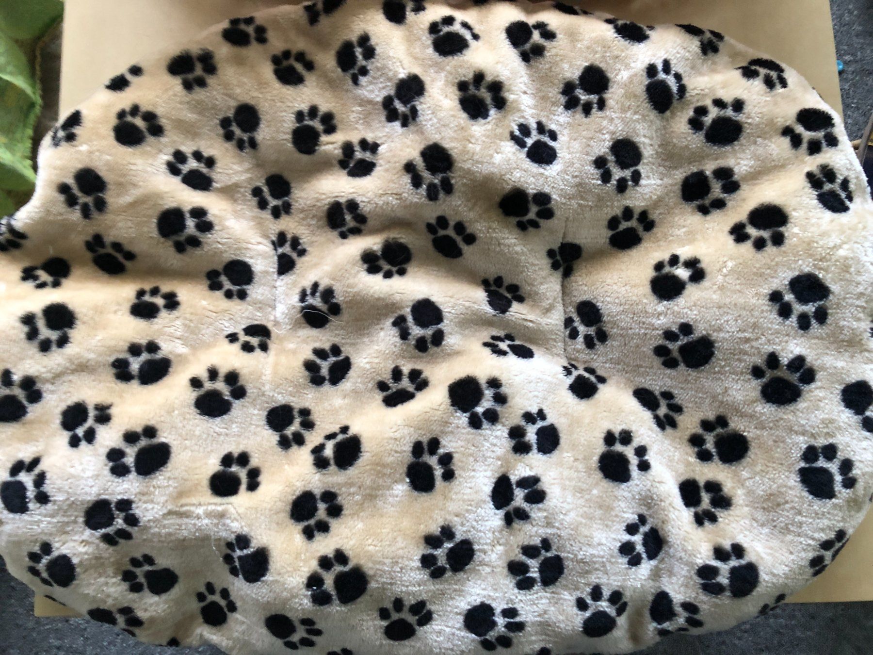 Cucce & Letti: Hundebett – Nuovo (secondo la descrizione) da Flawil venduto da noplan 3