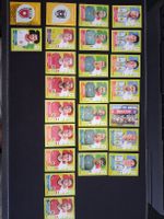 Panini Gruppe J
