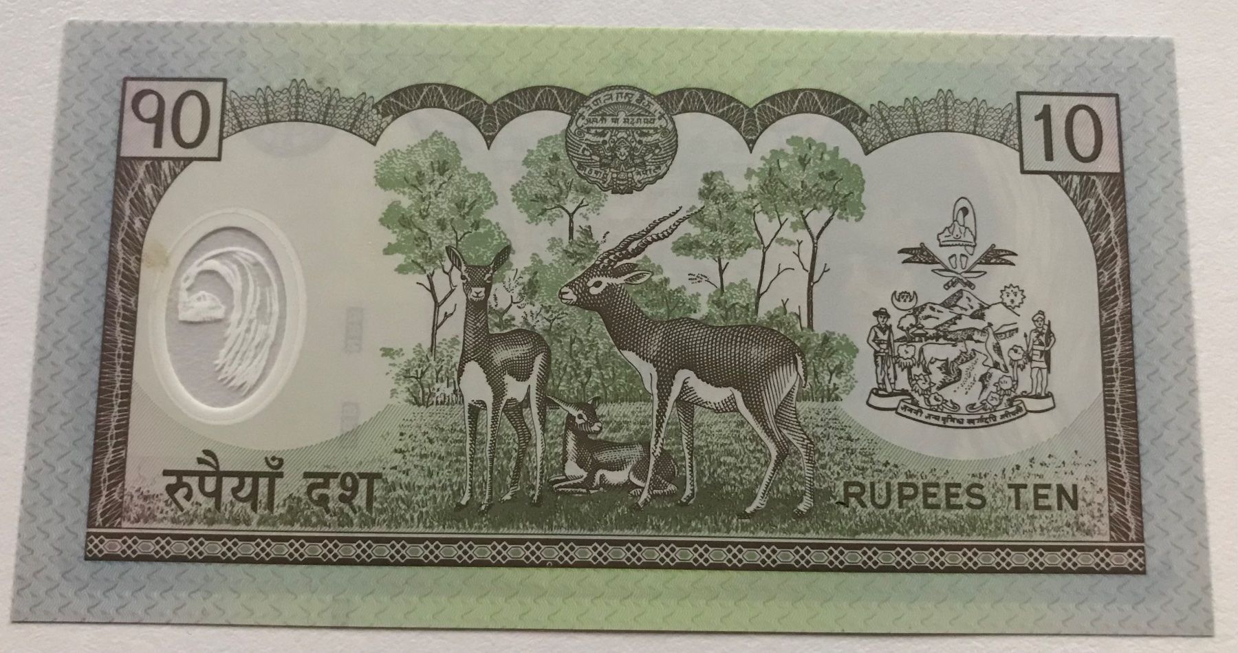 Banconote: Nepal 10 Rupees Neuwertig – Nuovo (secondo la descrizione) da Algetshausen venduto da Carrhard 1