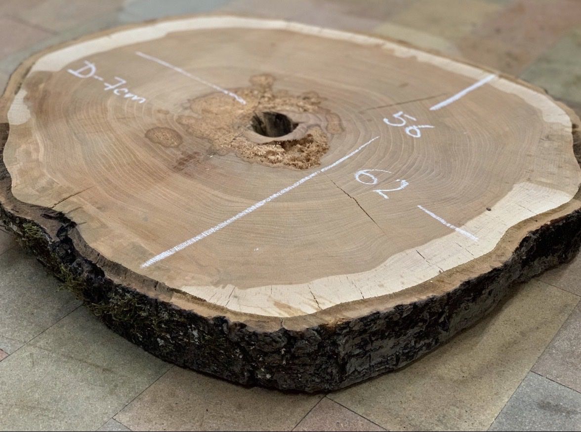 Articoli in legno: Massive Kirschbaumscheibe – trocken & einzigartig – Usato da Breitenbach venduto da kaufmann-j 2